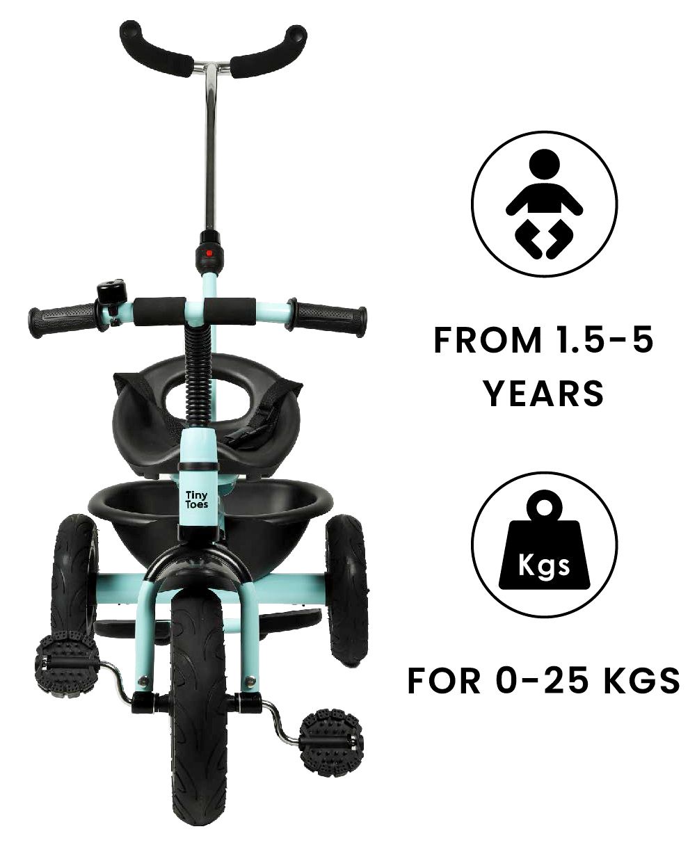 tiny toes tricycle