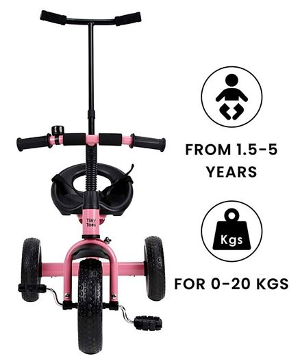 tiny toes tricycle