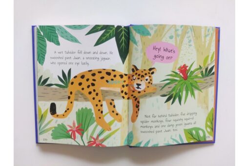 Tales-from-the-Forest-Delightful-Stories-to-Share-9789395453820-510x340